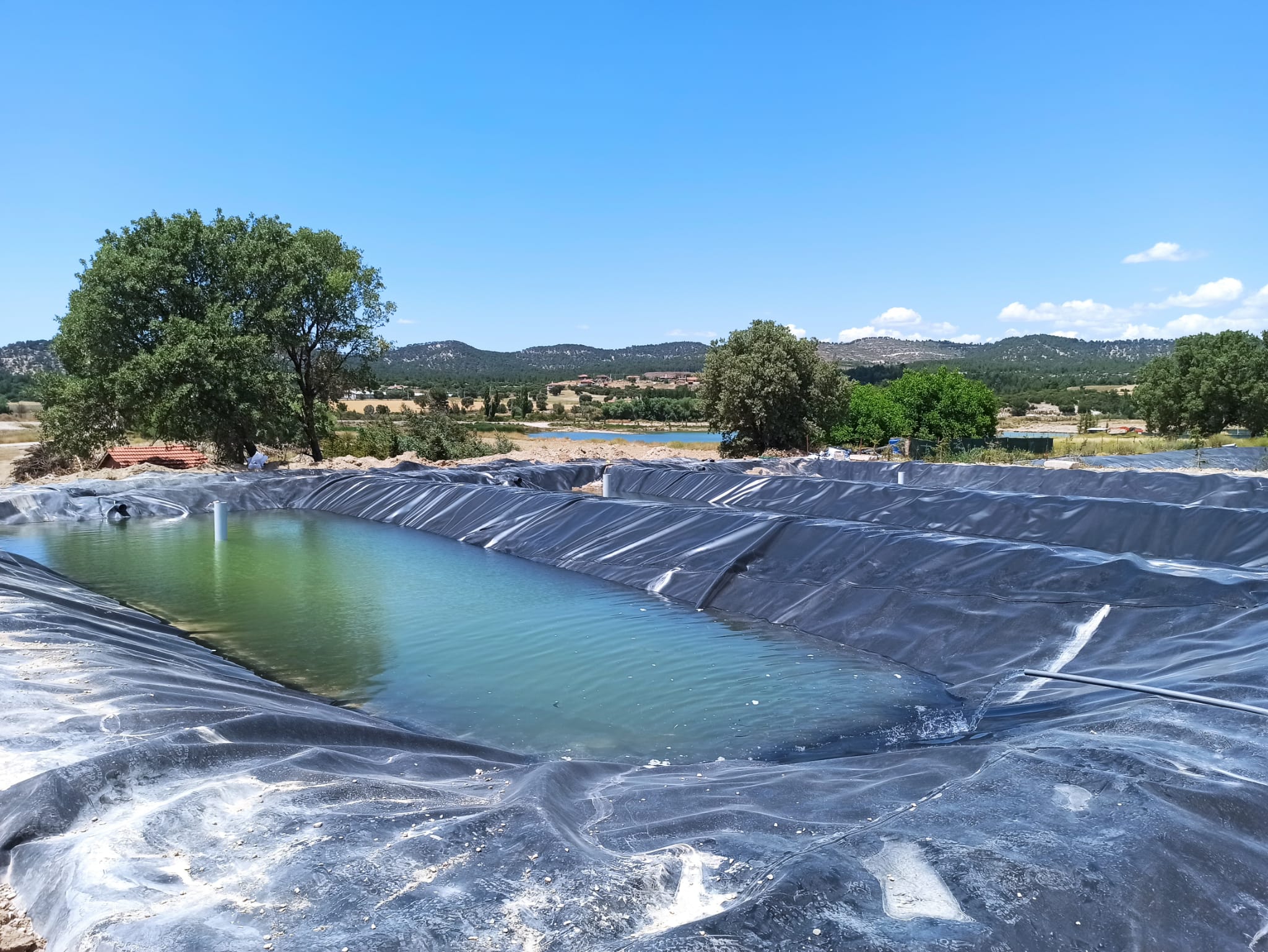 WhatsApp Image 2025-01-24 at 16.39.54 (1)