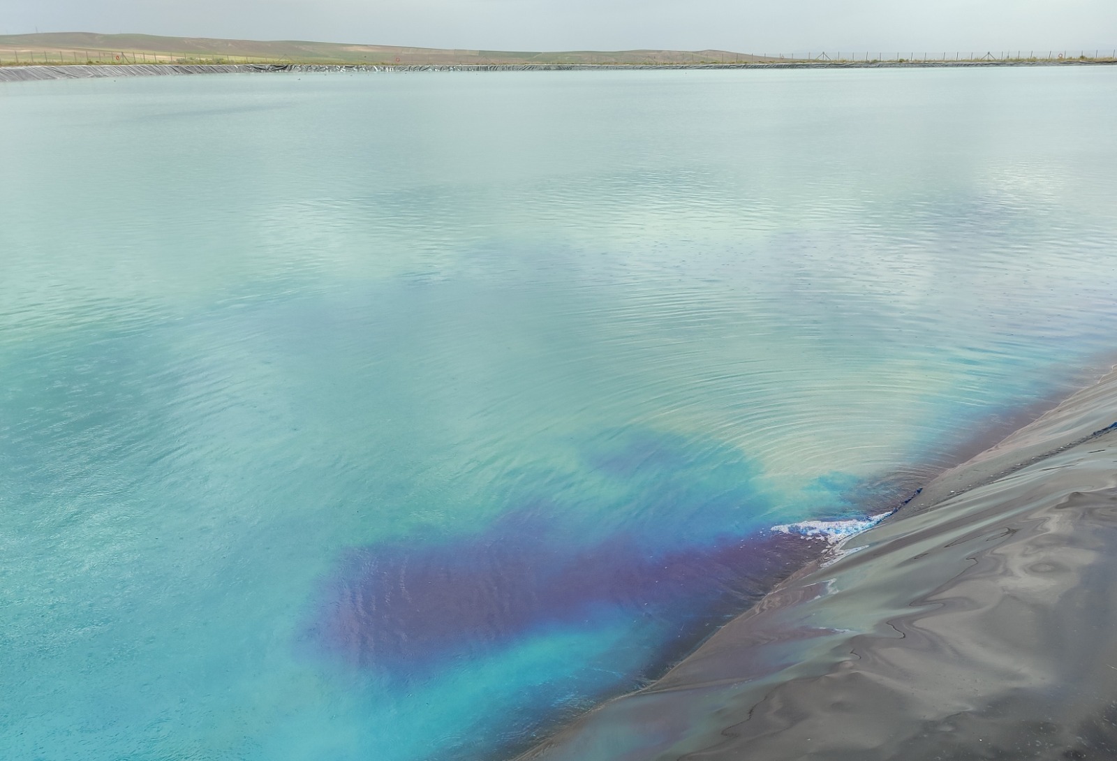 WhatsApp Image 2025-01-25 at 16.35.17 (1)