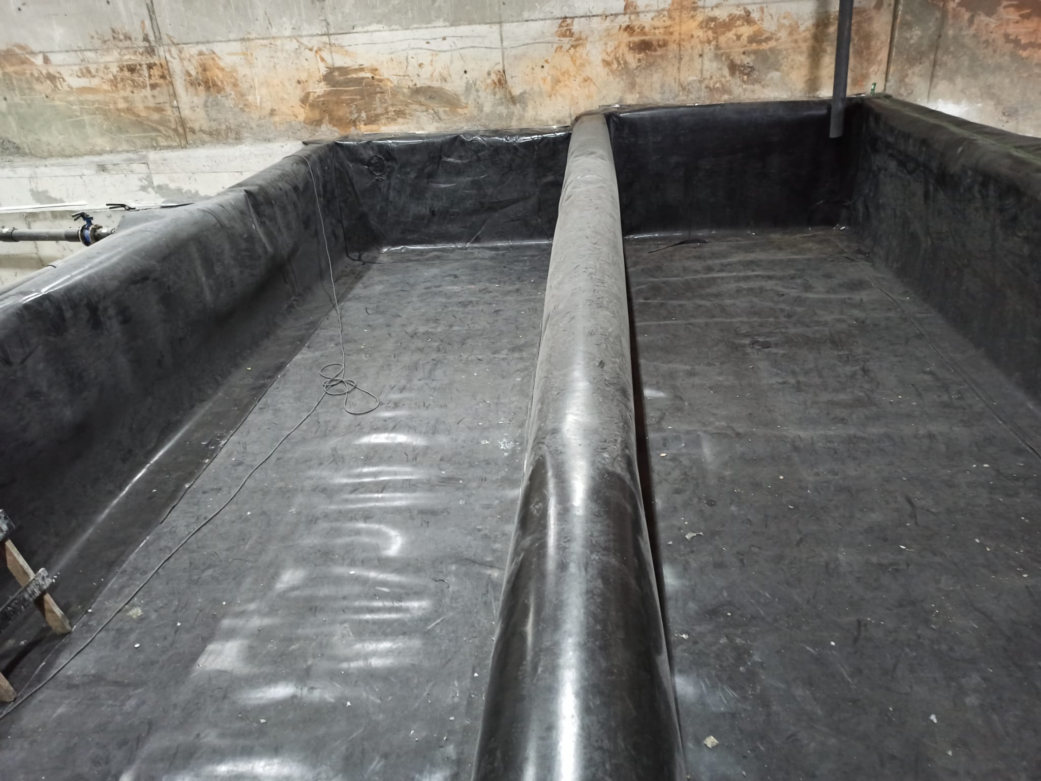 WhatsApp Image 2025-01-31 at 16.05.32 (3)