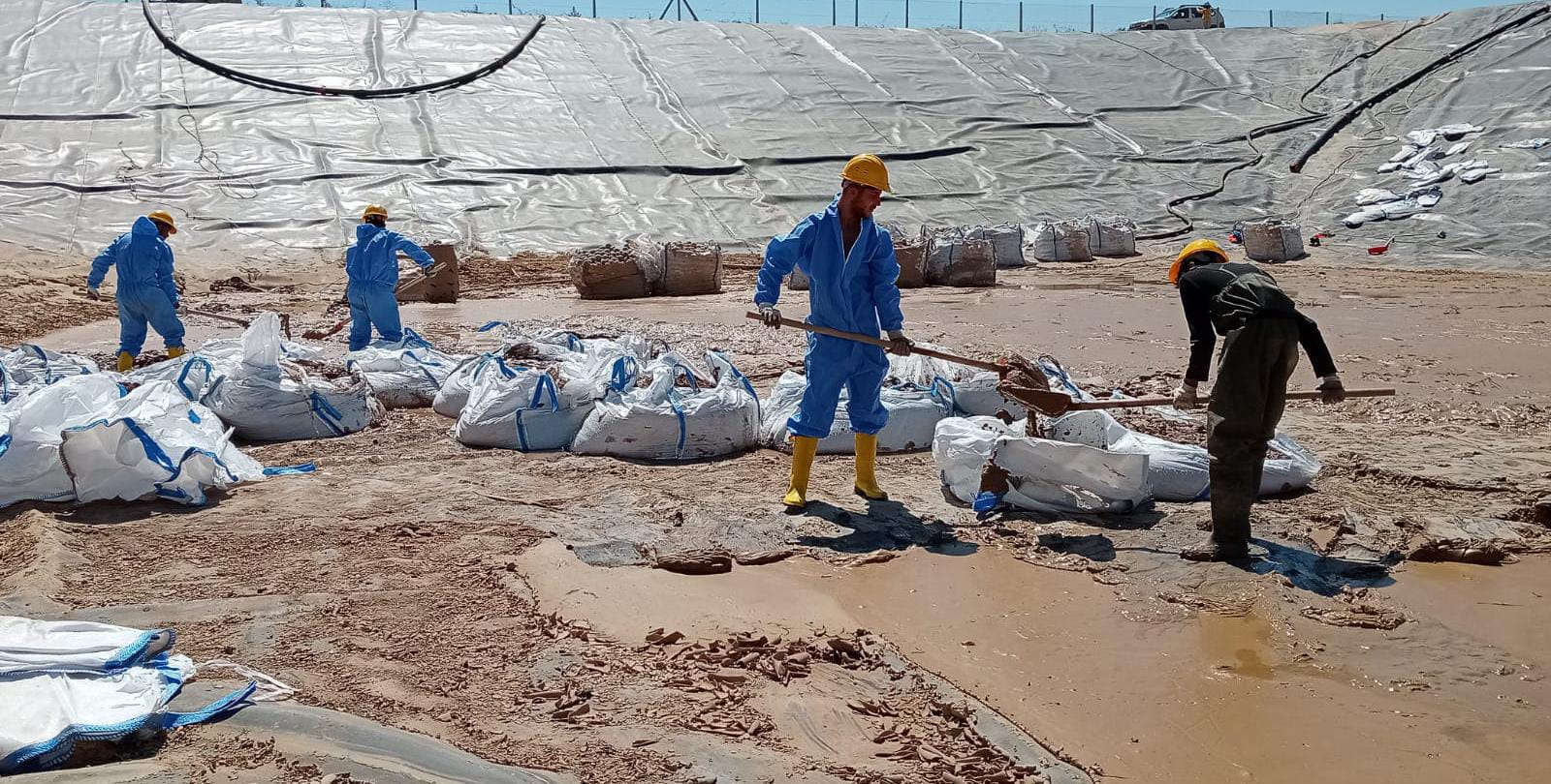 WhatsApp Image 2025-02-17 at 14.11.27