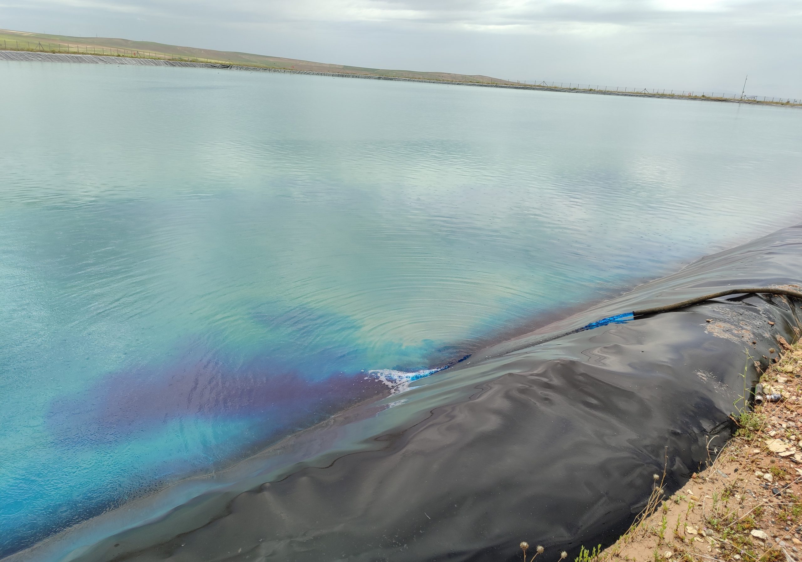 IMG_20240527_135123 (1)